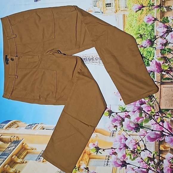 Eileen Fisher Burnt‎ Orange Organic Cotton Chino Pants Size 8 - Picture 1 of 5